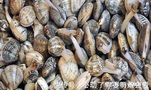 买花甲,买开口的还是买闭口的?内行人:不懂的人买错了不划算