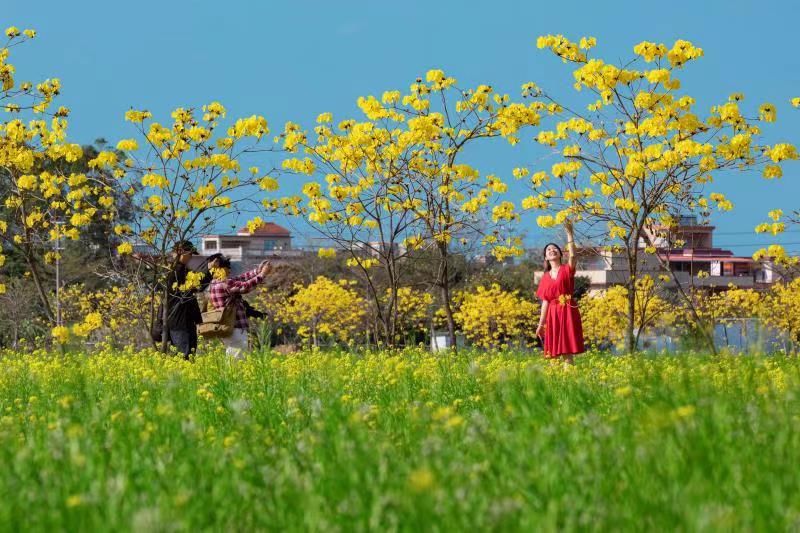 广州牛年春节成绩单: 景区接待、商贸零售、乡村旅游都表现不俗