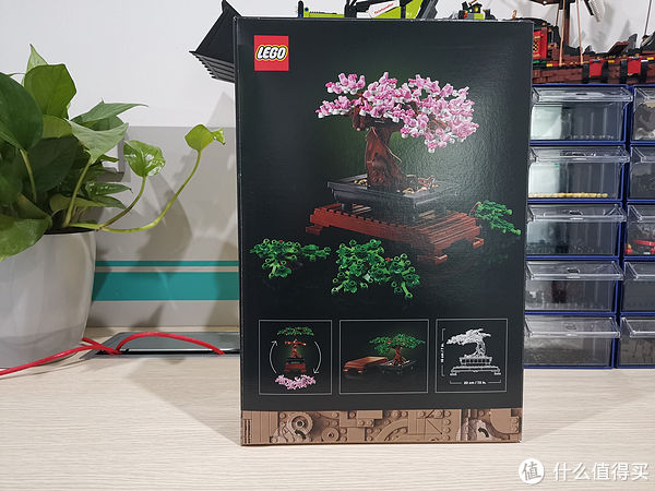 老杨的玩具仓库篇六十四 Lego 花草植物系列 盆景盆栽评测 快资讯