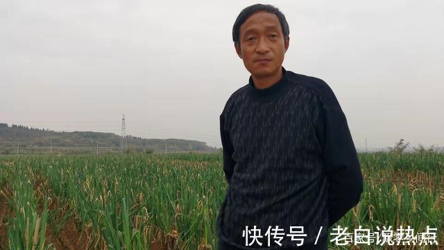 苗发勇|济南章丘大葱价格高，葱农们很无奈，看看他们说的