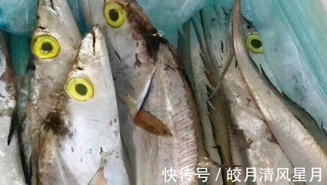 同样是带鱼，“黄眼睛”和“黑眼睛”区别大，弄懂了再买不吃亏！
