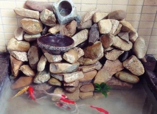 鱼池|在阳台上砌个鱼池,成本只花200元,亲戚朋友们都眼红了