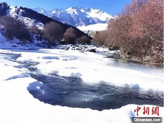 今日|今日小雪 | 天冷勿忘加衣 愿你今冬一切安好