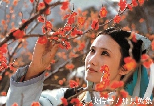 李香玉@林黛玉死后留下半本诗集,妙玉见后大吃一惊,知道好日子到头了