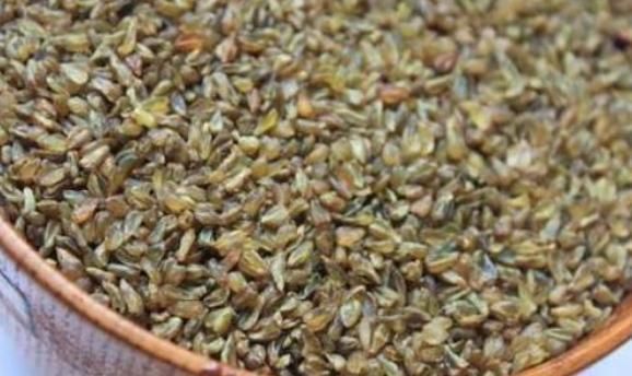 高血糖|它被称为天然的“胰岛素”,在水里撒一把,血糖慢慢降下来