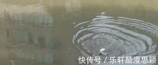 浙江一男子野钓频繁“双咬”，两小时钓获20多斤，网友神级钓手