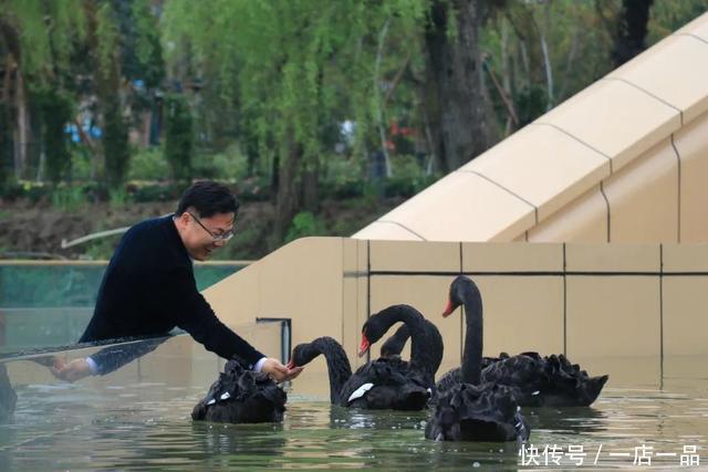 花博南园最大单体建筑开业，听鸟语、赏美景，等你来打卡咯！