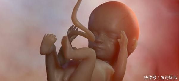 胎儿|胎儿每月都有在发育,这5个成长“关键期”,错过就补不回来了