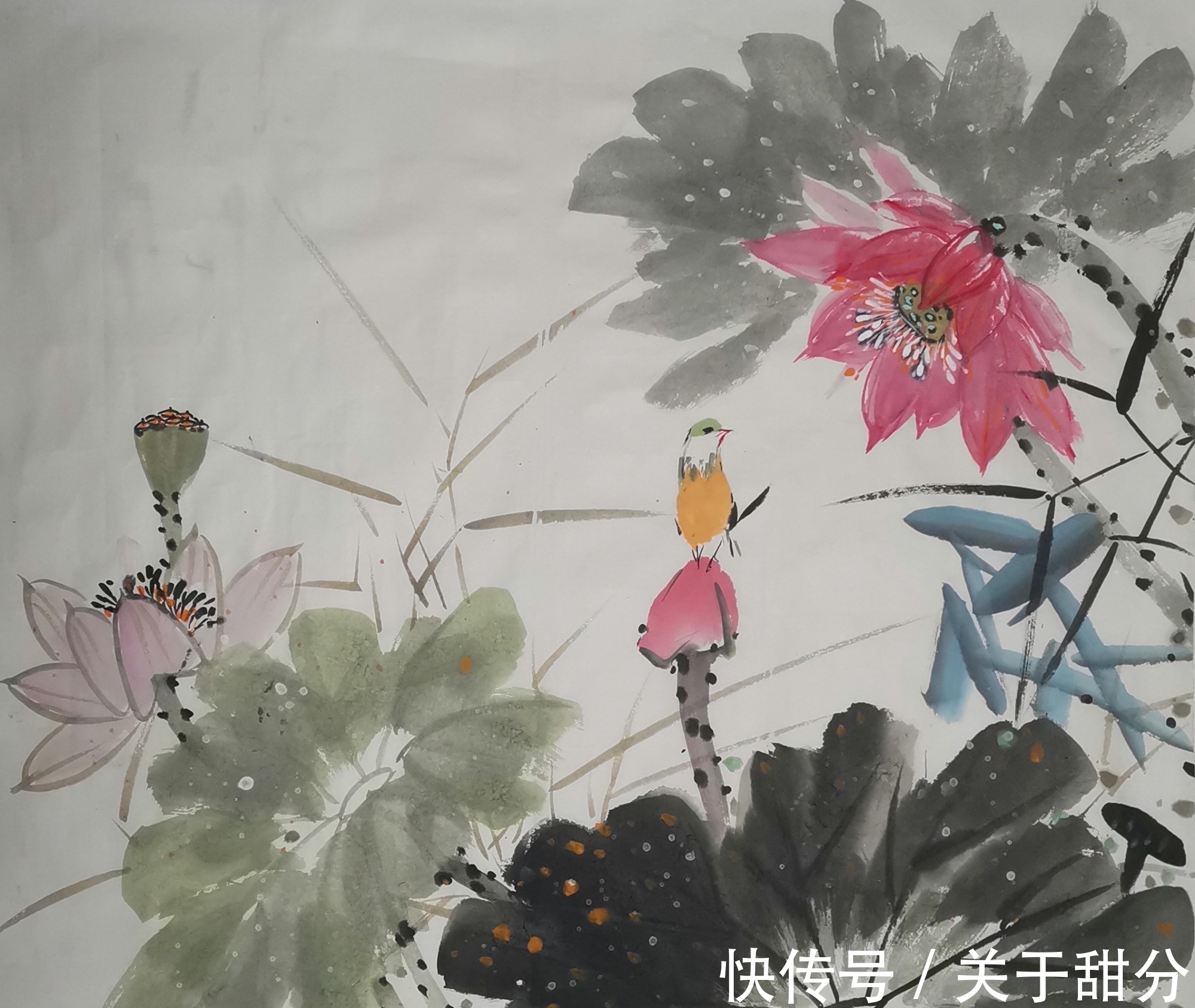 写意花鸟画@四季花开,国画写意花鸟画作品分享