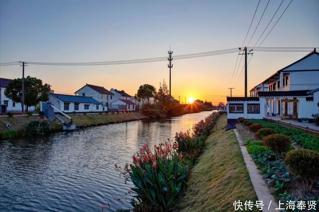 四团这个村获评“最美宅基”,美不美,看图!