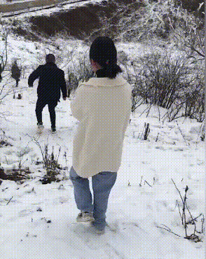 |搞笑段子王：为了一口吃的，猫咪就这么被主人骗了