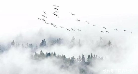 八方来客|以九宾之礼,盛迎八方来客