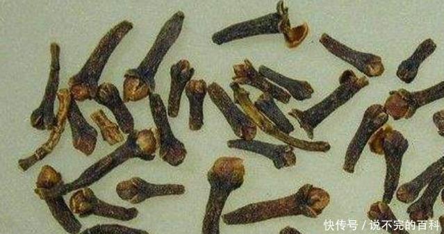 大臣|大臣口臭,皇帝大怒赐他一“钉子”,从此后,此物成皇宫流行物品!