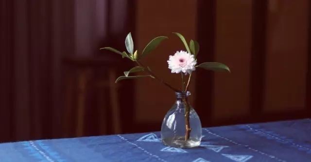 茶香|生活有了茶香,便不再羡慕诗和远方