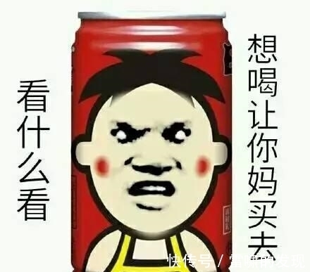 |幽默笑话:你小时候玩过,过家家吗