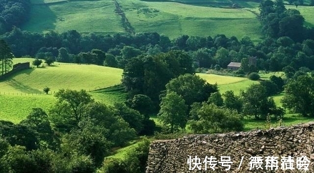 生肖猴|未来十天，桃花运来势汹汹，爱情一触即发，最终收获真爱的生肖