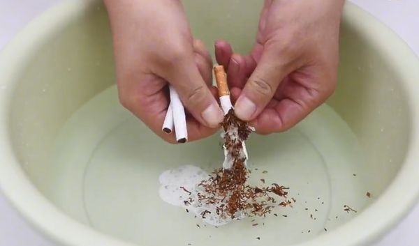 香烟加洗衣粉泡一泡太厉害了，10个家庭9个都需要，一年省不少钱