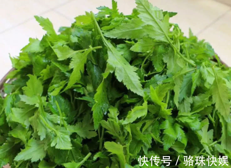 营养物质|农村一种“怪味”野菜,形似香菜但味道似薄荷,你们吃过吗