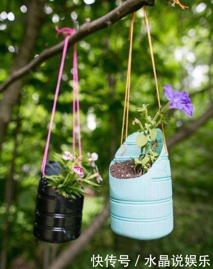 生根|矿泉水瓶有“大作用”,10个“用法”最经典,可以种豆芽、养花