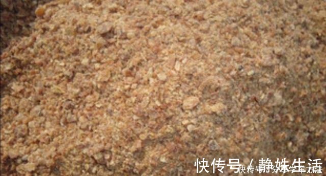 羊粪|君子兰叶子长得好看,花盆里加2种“材料”,肥力充足!