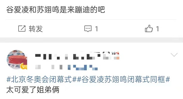 中国结|冬奥闭幕式现场太嗨:谷爱凌苏翊鸣同框,中国结折柳展东方底蕴