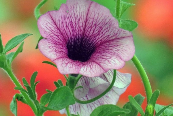 懂得@身上有3个特质的人,不要小看,将来能成就大事!