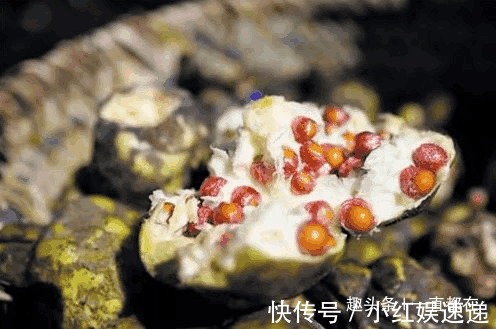 失眠|农村有些山珍野菜，防治咳喘、糖尿病、高血压、烦渴、失眠等症