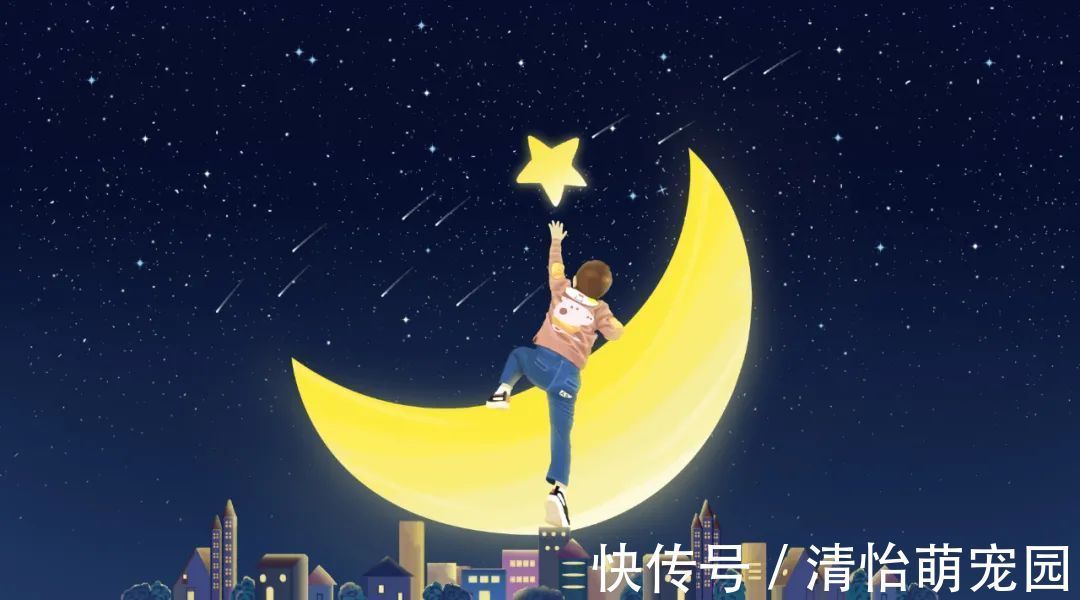 大白菜英语怎么读音