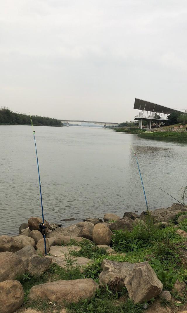 到钓点三分钟判断有没有鱼,预防走空,只需看三点就行