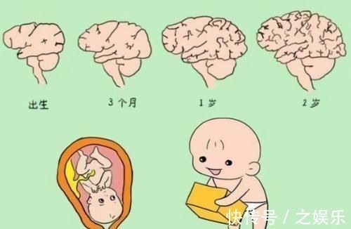 绘本|宝宝出生“头三年”很关键,家长做好这3件事, 孩子会很聪明