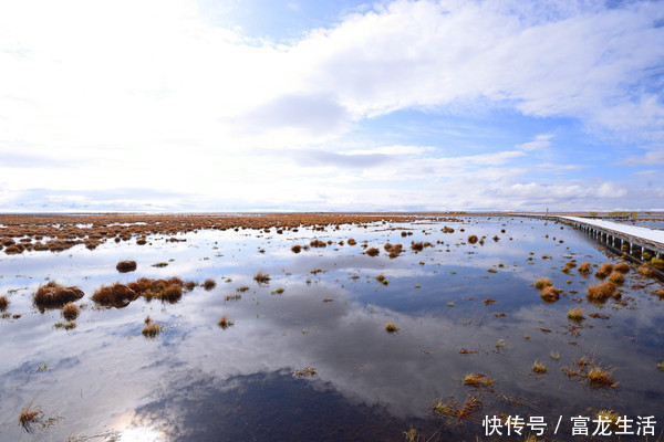 若尔盖花湖不飞花，却是中国最美的高寒湿地