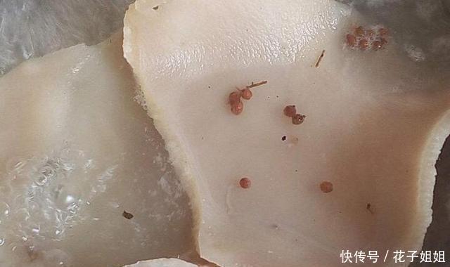 猪皮|熬猪皮冻时,千万不要直接熬,多做一步,猪皮冻滑嫩筋道无腥味