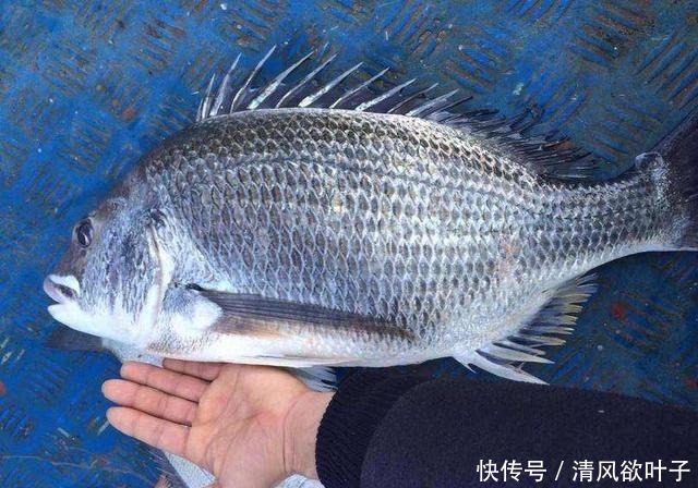 钓友|钓鱼人拼船出海钓鱼,船上没有厕所,女钓友的做法大胆又令人佩服