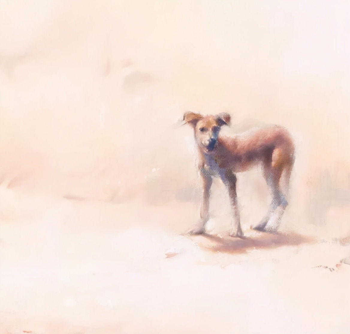 非洲#异域奇境、恍如隔世,艺术家迪兰·斯科特·皮尔斯的水彩画