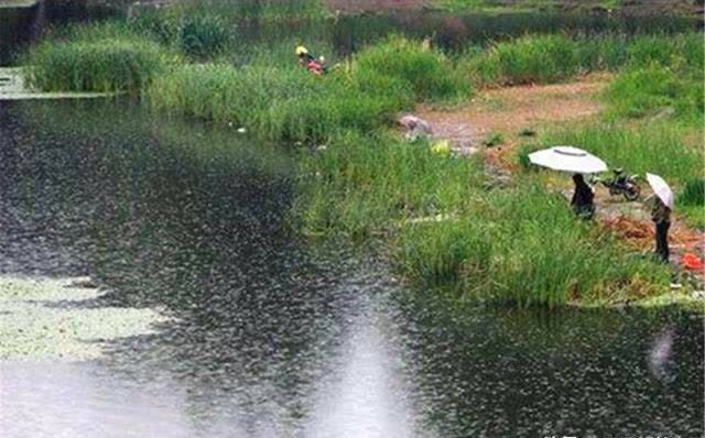 春钓桃花水,秋钓桂花香,仲春时节钓鱼,需要了解的5件事