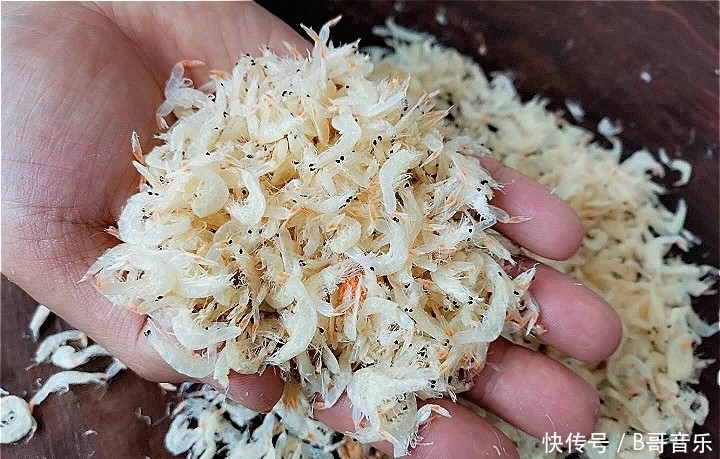 虾皮|同是虾皮,白色和红色有什么不同?老渔民:区别很大,万万别选错