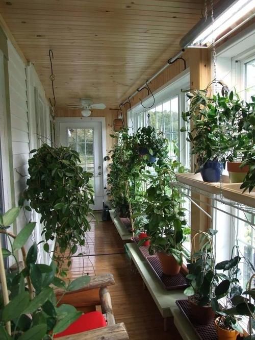 家里的多肉不抗晒，室外气温未至28度，养花人就得这么打算