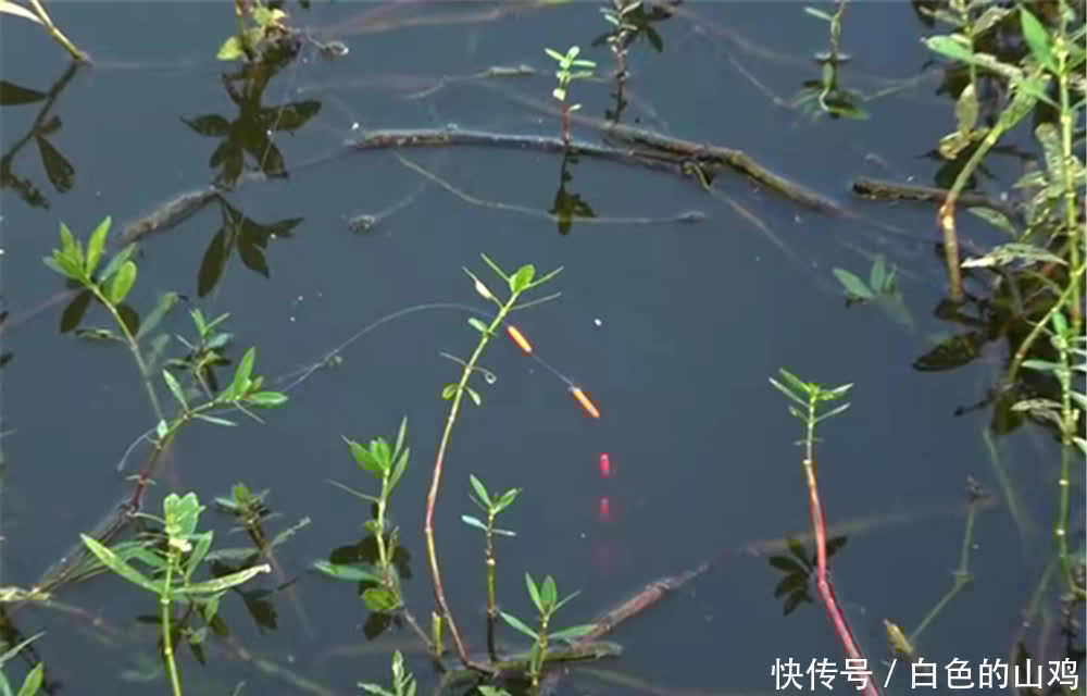 春钓大鲫鱼,天气是基础,钓法是关键,用这种钓法,一钓一个准!