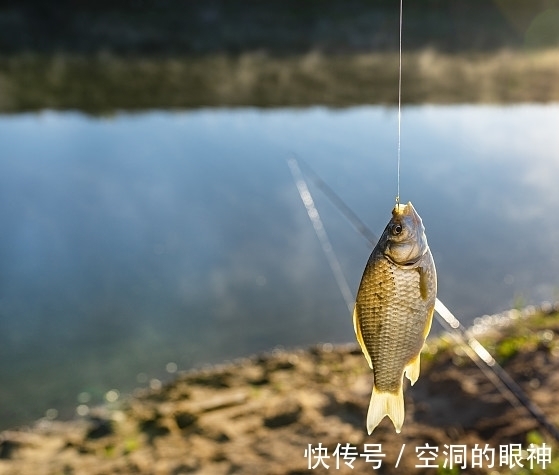 冬季野钓轻松上鱼7小招。