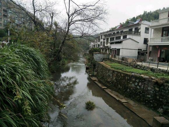 家门口的小溪里也有鱼,而且还是难得一见的“极品”,不钓可惜!