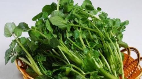 小蛮腰|秋季黄金减肥期,女人多吃以下食物,排出毒素,燃烧脂肪越吃越瘦