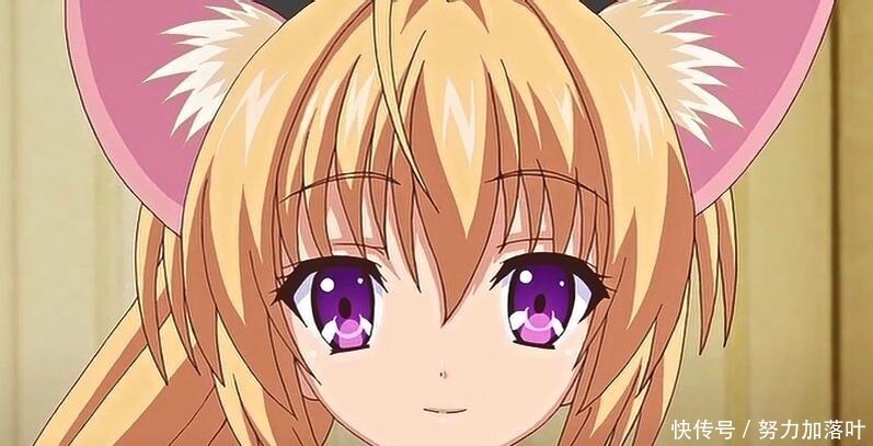 领养|二次元中具有猫耳属性的美少女(猫娘),你想要领养哪一只呢