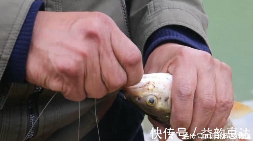 军鱼|山居老伯钓鱼,竹子做竿,蟑螂做饵,可钓的鱼一百一条