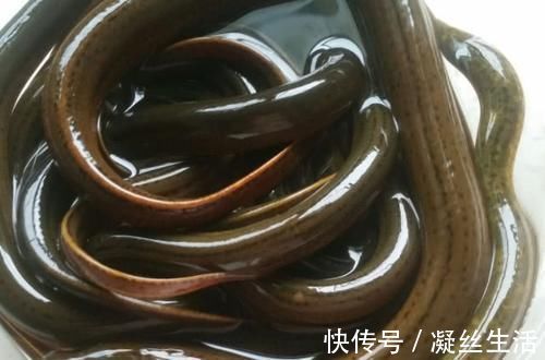 糖尿病|糖尿病也有害怕的东西，早晚吃一点，血糖“十拿九稳”胜似胰岛素