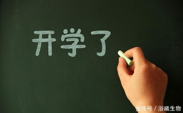 开学啦!猪猪女孩们赶紧精致起来