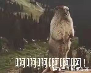热量|女神之光：易发胖饮食习惯，你get到了吗？
