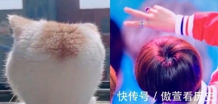 王一博《风起洛阳》百里弘毅,确认过头型,是头圆(投缘)的人