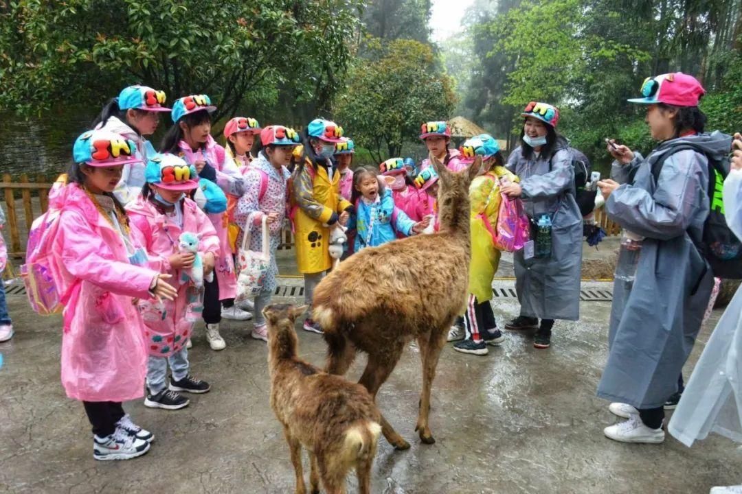 享自然！来碧峰峡，做一个关于自然的梦