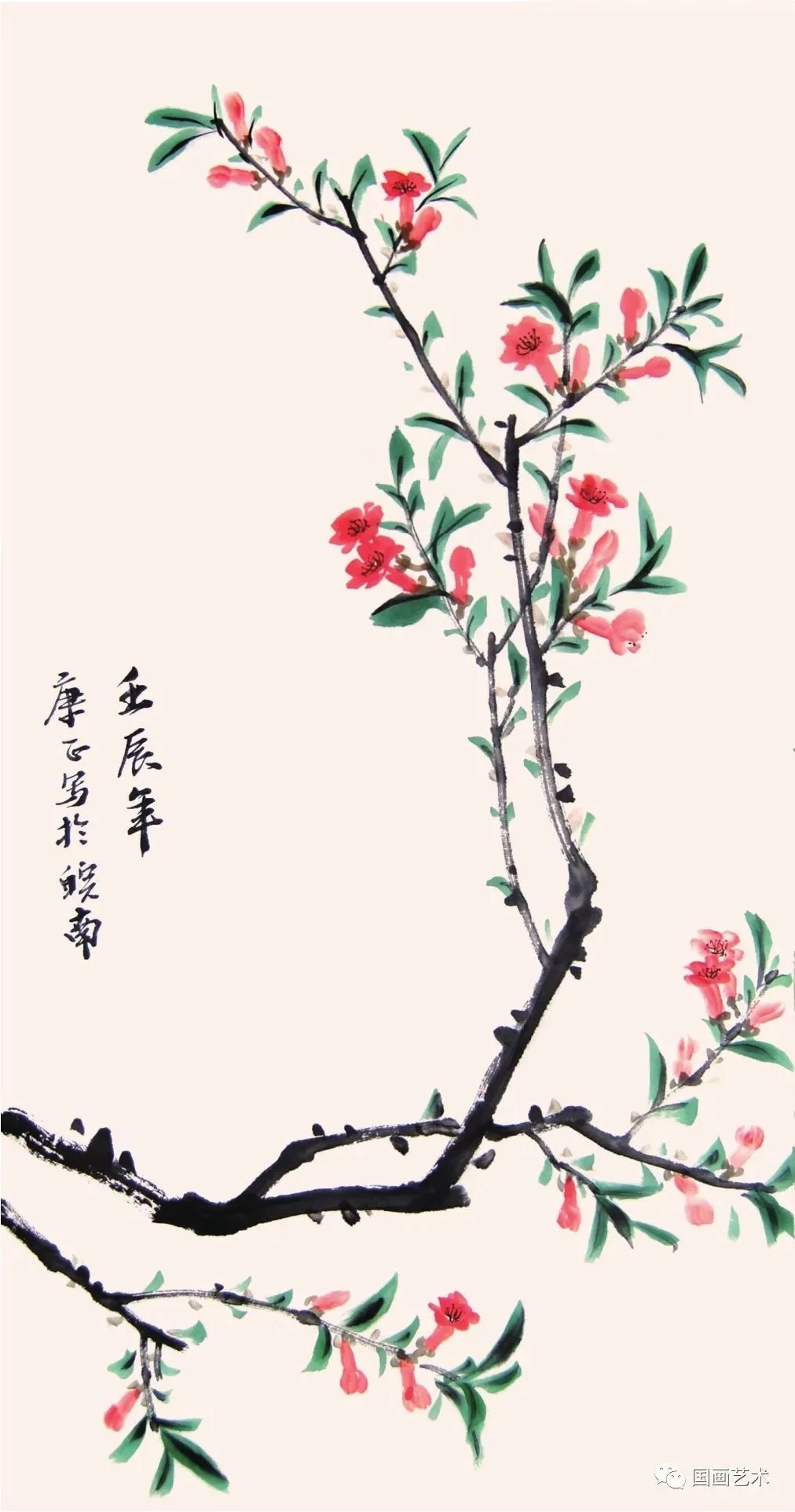 轻松学画写意石榴花插图17