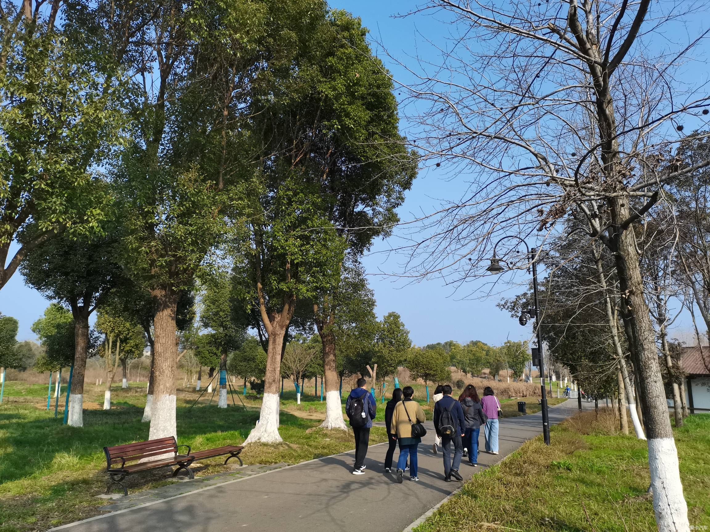 情人节逛森林公园